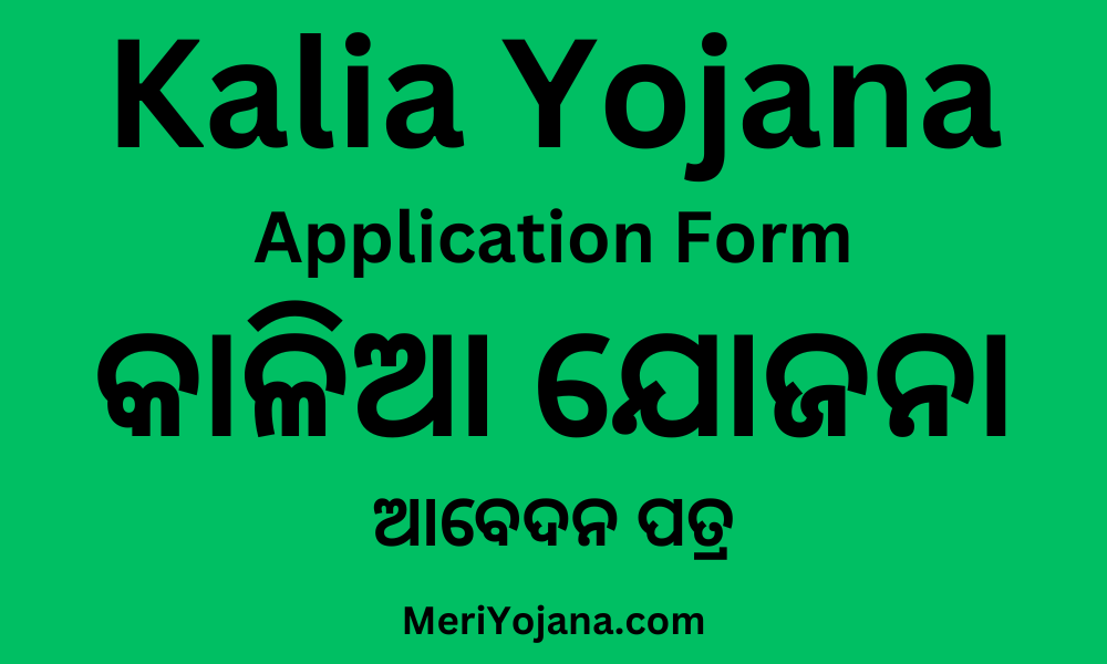 Kalia Yojana